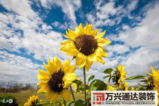 風(fēng)水異性緣女生增加異性緣的風(fēng)水