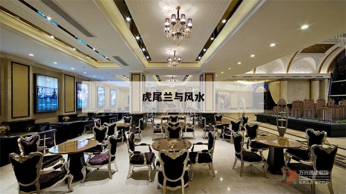 虎尾蘭與風水,虎尾蘭的風水作用